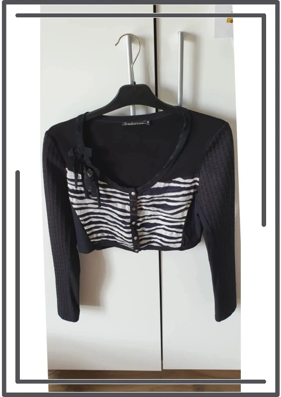 Blazer LMV